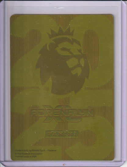 2025 Panini Adrenalyn XL Premier League - Cole Palmer 'Golden Baller'